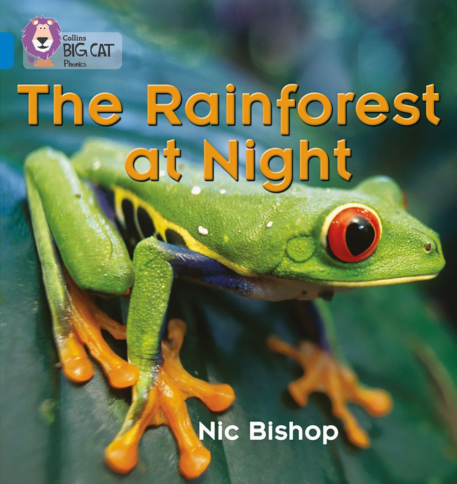 The Rainforest at Night: Band 04/Blue