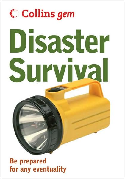 The Disaster Survival: Be Prepared for Any Eventuality