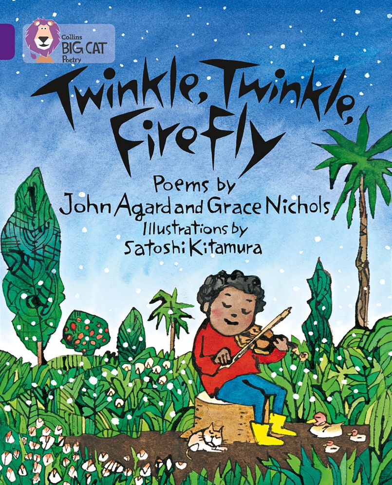 Twinkle, Twinkle, Firefly: Band 08/Purple