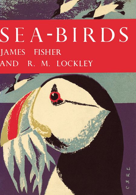 Sea-Birds (Collins New Naturalist Library, Book 28)