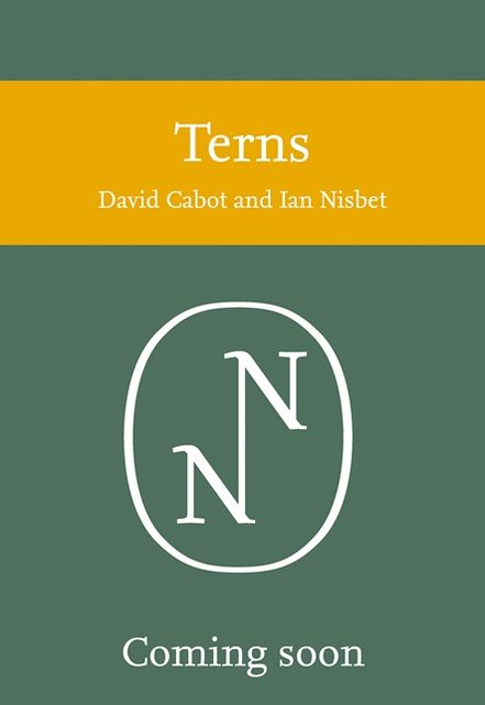Terns (Collins New Naturalist Library, Book 123)