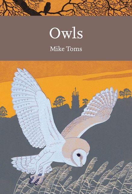 Owls