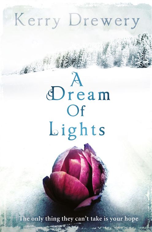 A Dream of Lights