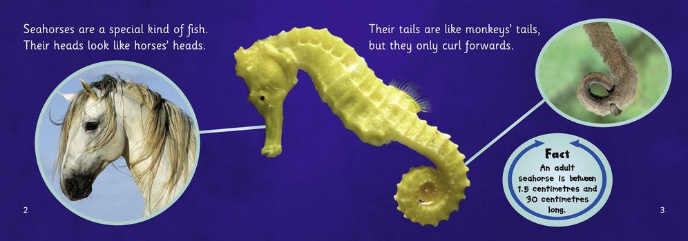 Seahorses: Band 05/Green