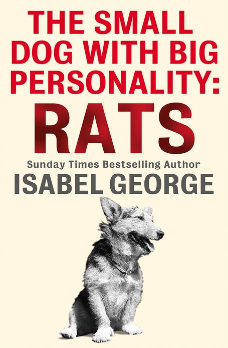 The Small Dog With A Big Personality: Rats