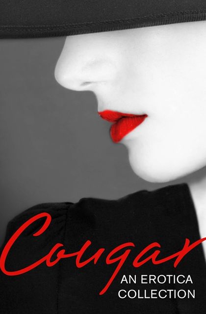 Cougar: An Erotica Collection