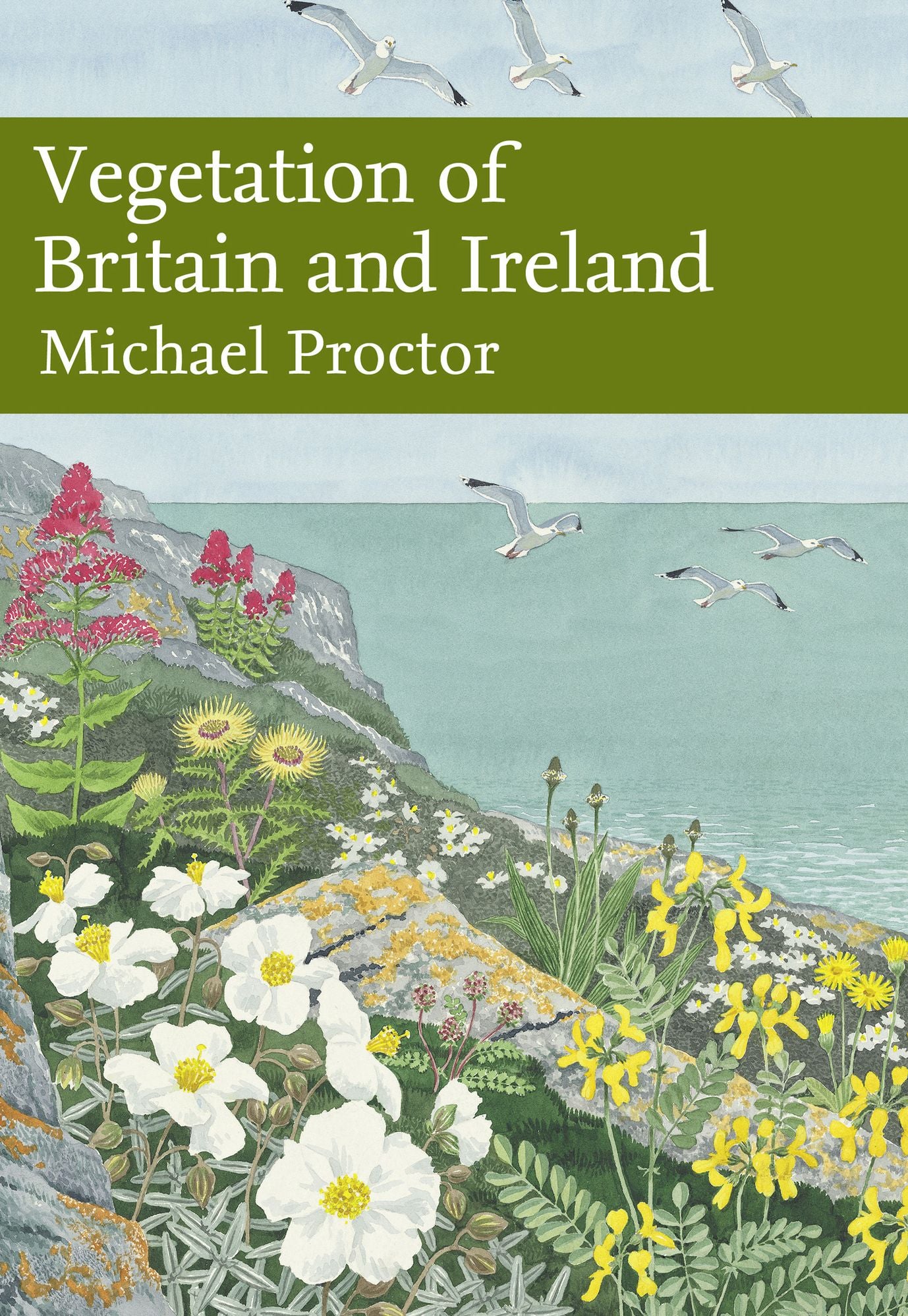 Vegetation of Britain and Ireland (Collins New Naturalist Library, Book 122)