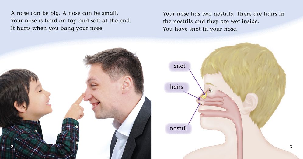 YOUR NOSE: Band 04/Blue