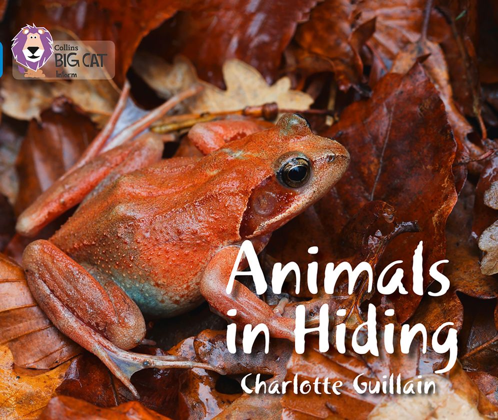 Animals in Hiding: Band 04/Blue