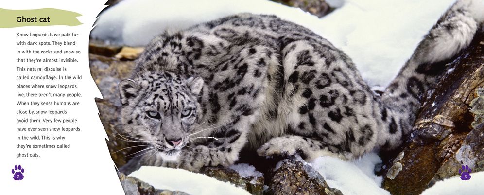 Snow Leopards: Band 11 Lime/Band 12 Copper