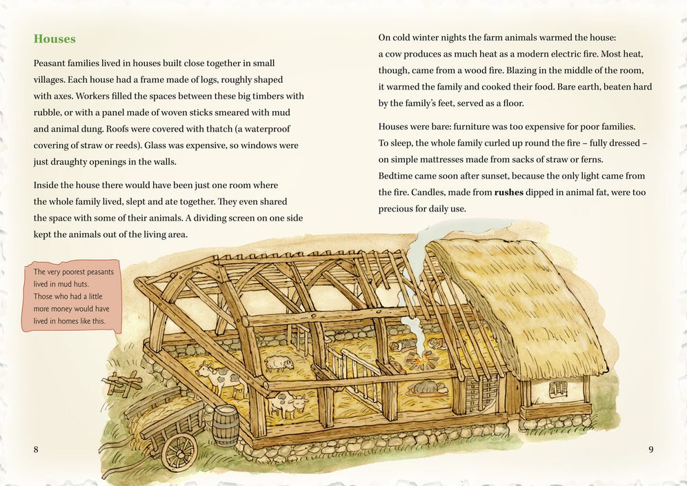Palaces, Peasants and Plagues - England in the 14th century: Band 18/Pearl