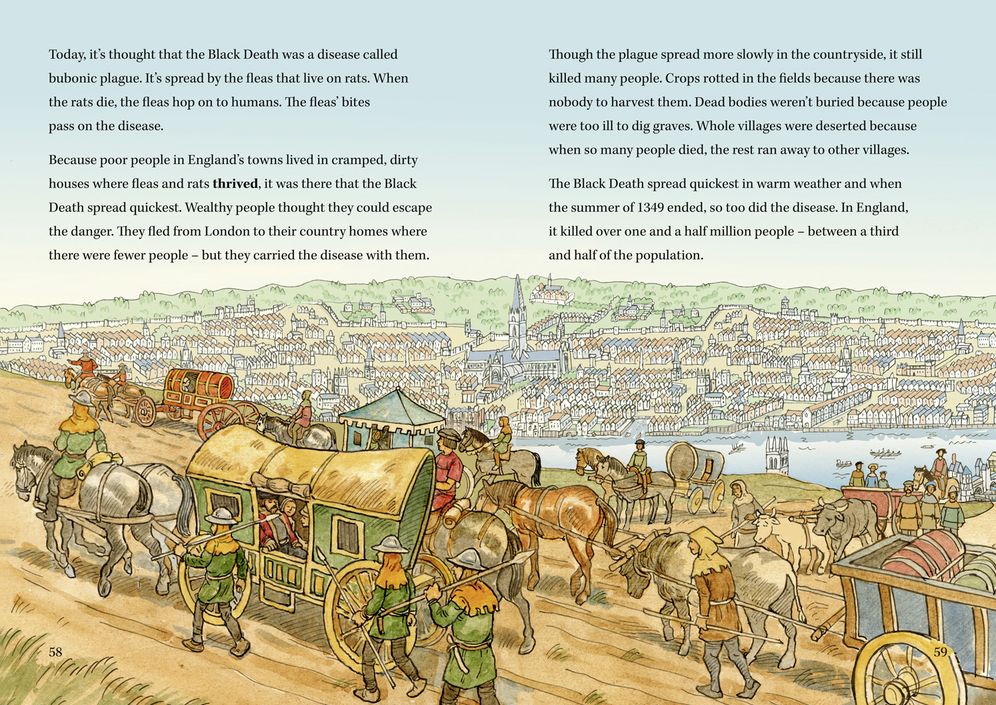 Palaces, Peasants and Plagues - England in the 14th century: Band 18/Pearl