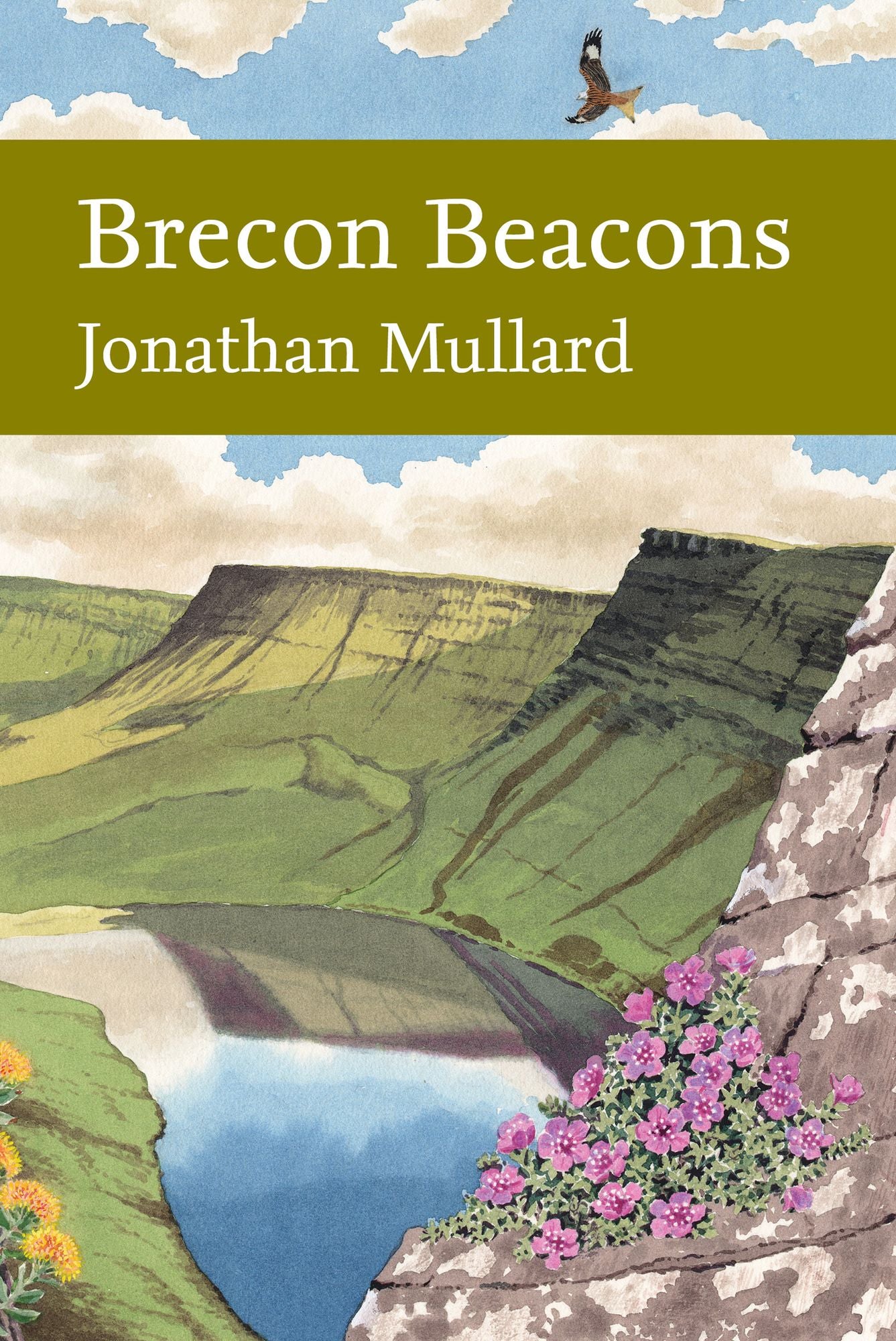 Brecon Beacons (Collins New Naturalist Library, Book 126)