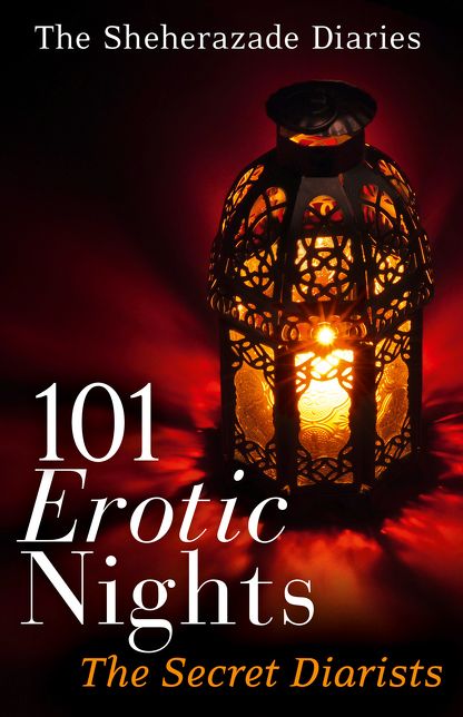 101 Erotic Nights