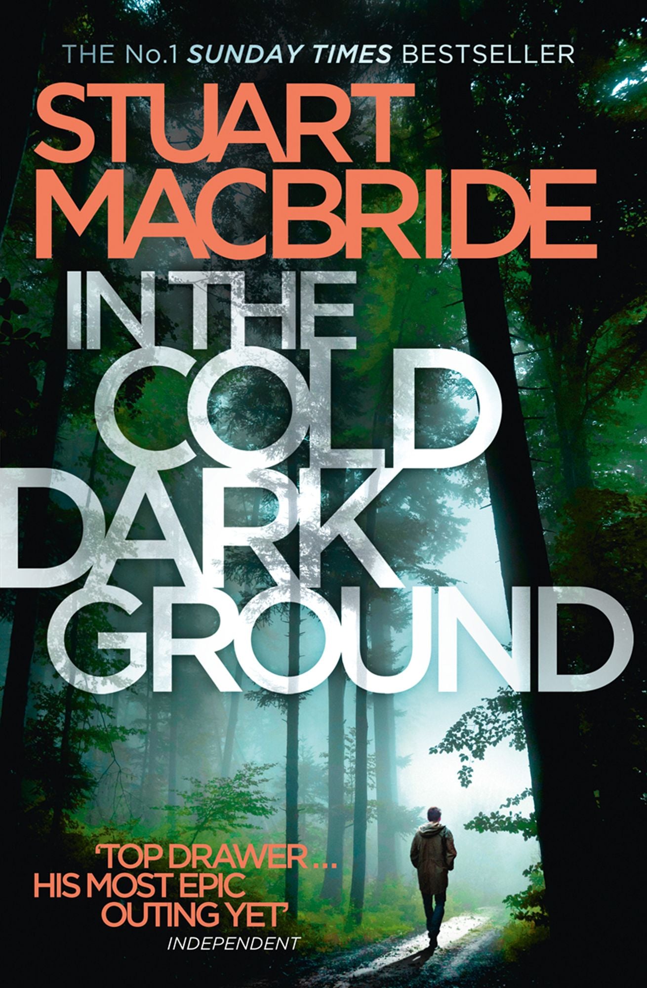 In the Cold Dark Ground (Logan McRae Series #10)