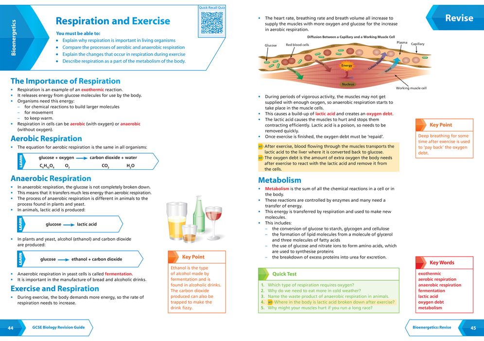 AQA GCSE 9-1 Biology All-in-One Complete Revision and Practice: Ideal for the 2025 and 2026 Exams