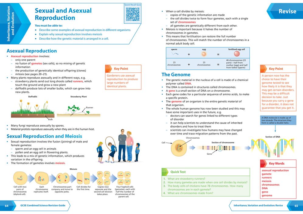 AQA GCSE 9-1 Combined Science Foundation All-in-One Complete Revision and Practice: Ideal for the 2025 and 2026 Exams