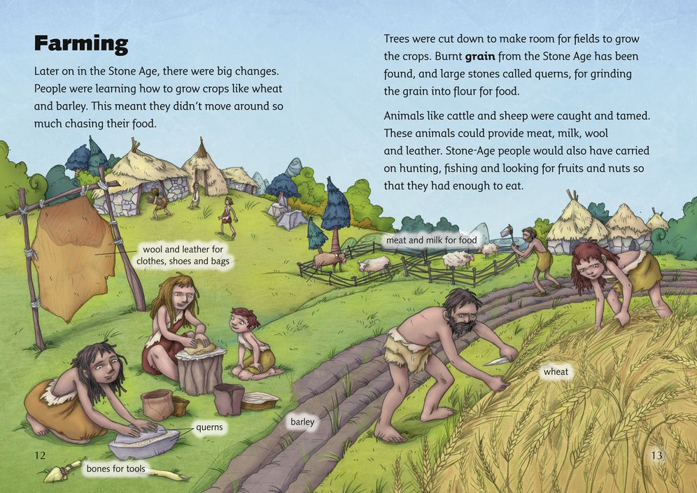 The Stone Age: Band 12/Copper