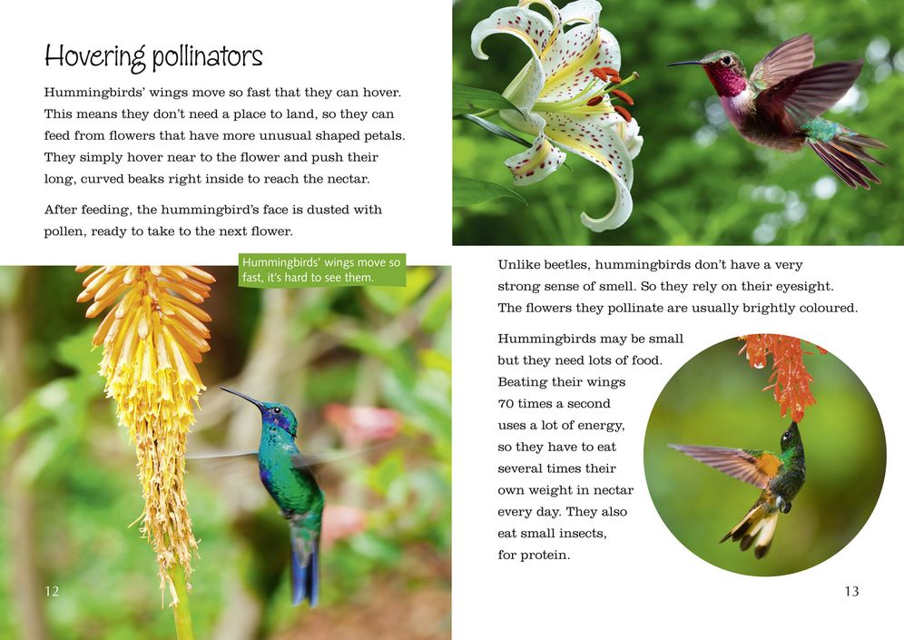 Plants, Pollen and Pollinators: Band 13/Topaz