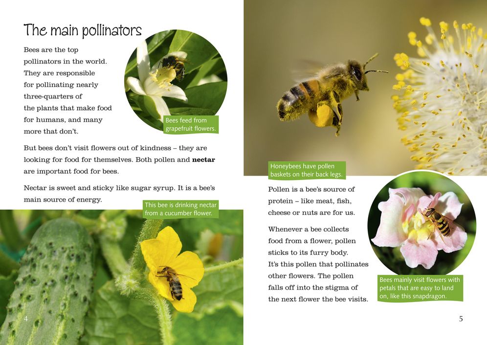 Plants, Pollen and Pollinators: Band 13/Topaz