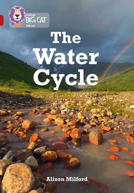The Water Cycle: Band 14/Ruby