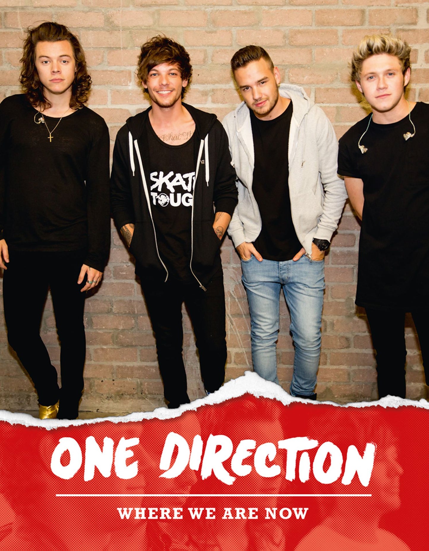 One Direction: Where We Are Now