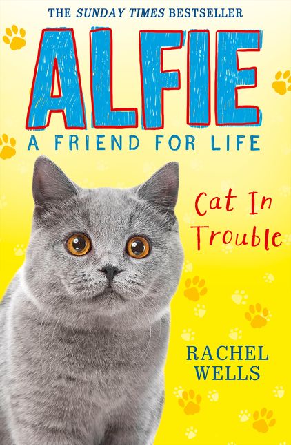 Alfie Cat in Trouble