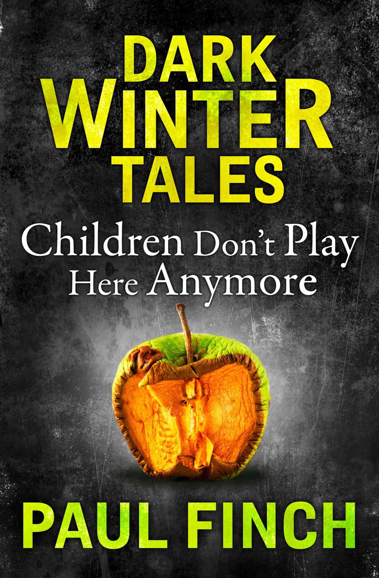 Children Don't Play Here Anymore (Dark Winter Tales)