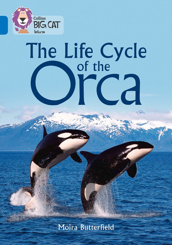 The Life Cycle of the Orca: Band 16/Sapphire