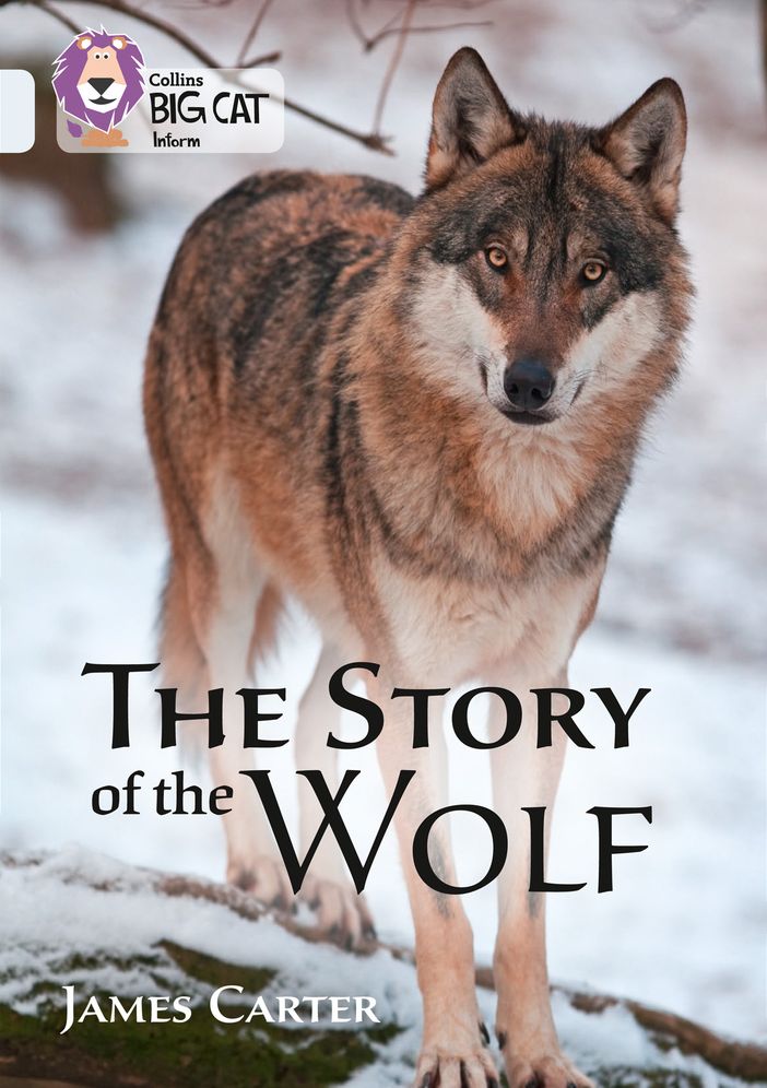 The Story of the Wolf: Band 17/Diamond