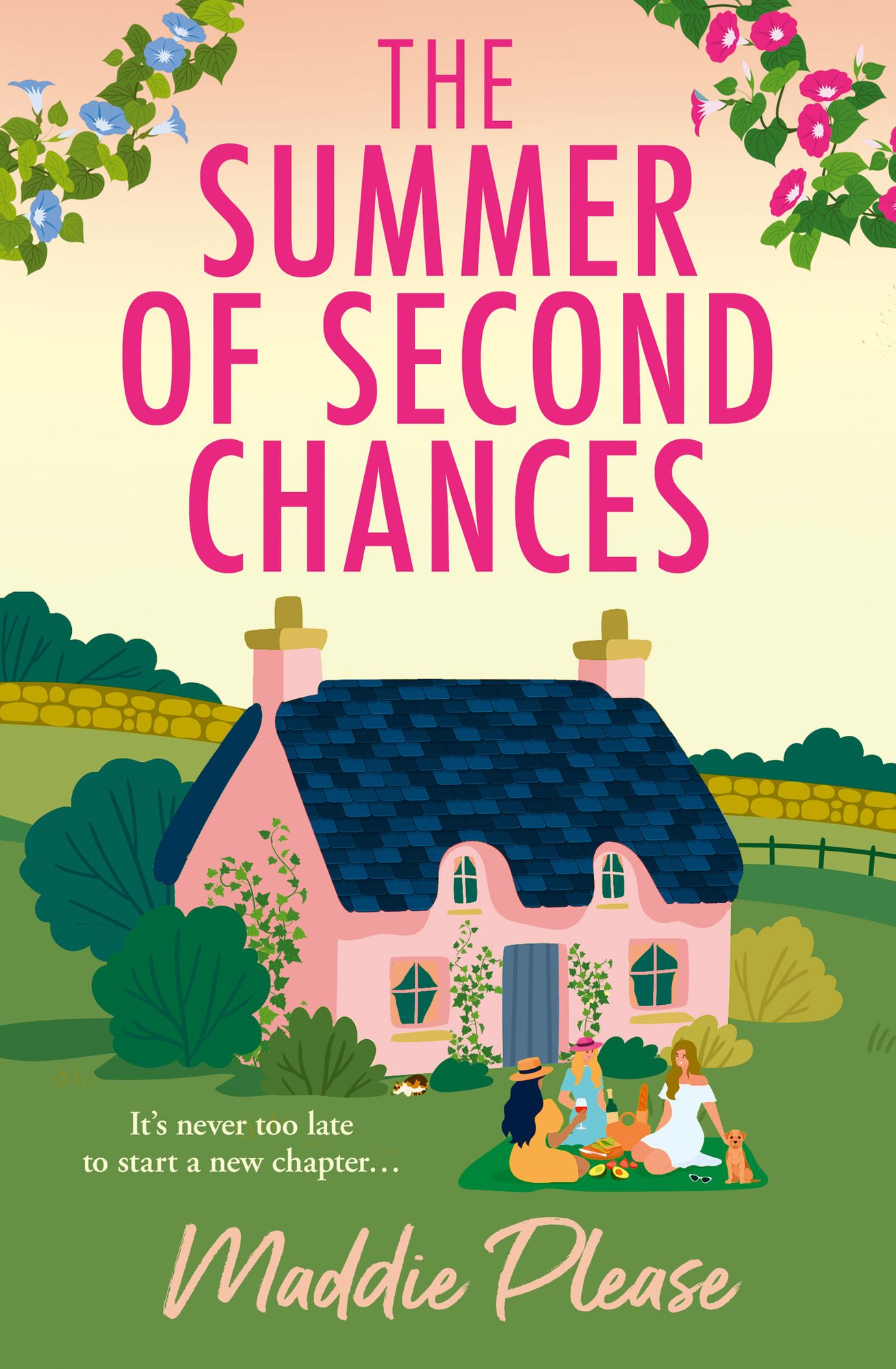 The Summer of Second Chances: The laugh-out-loud romantic comedy