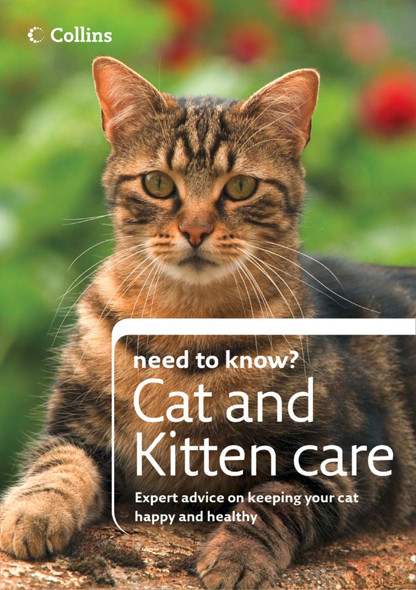 Cat and Kitten Care (Collins Need to Know?)