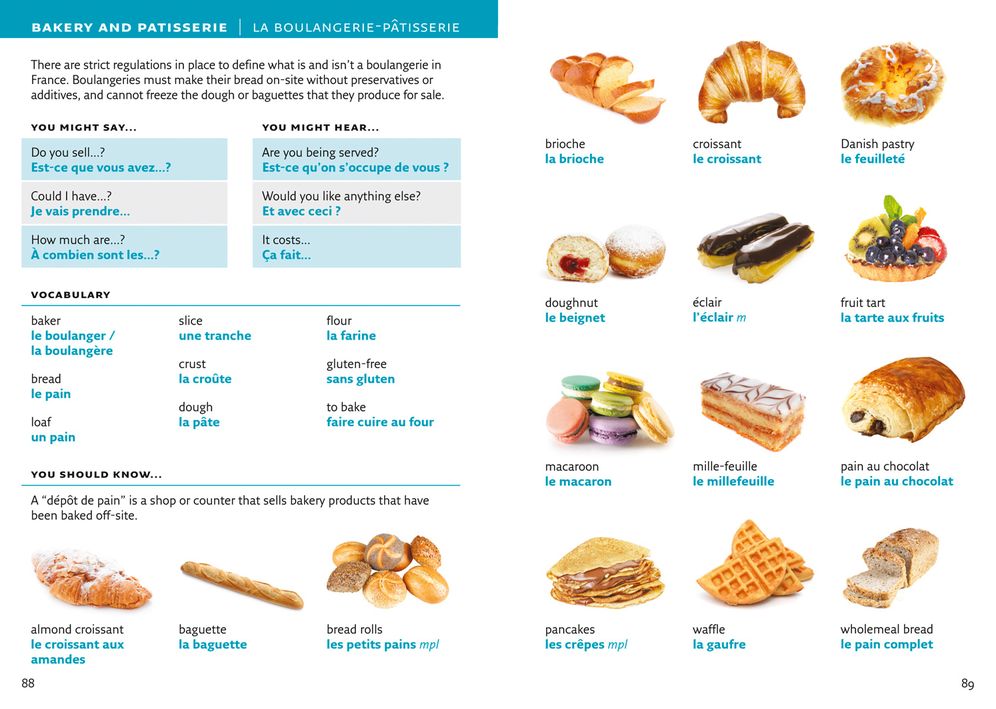 French Visual Dictionary: A Photo Guide to Everyday Words and Phrases in French