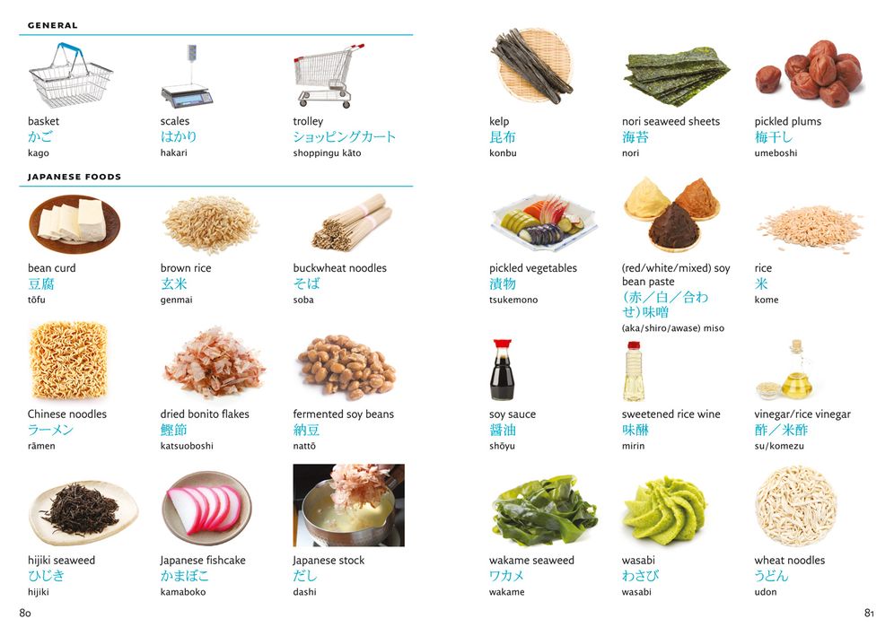 Japanese Visual Dictionary: A Photo Guide to Everyday Words and Phrases in Japanese