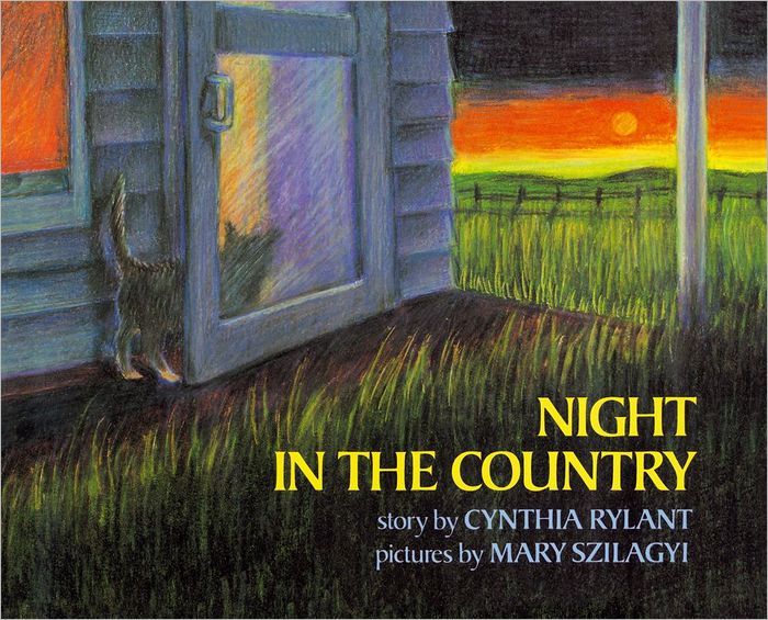 Night in the Country