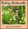 Baby Animals