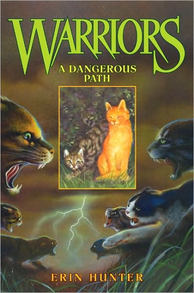 A Dangerous Path (Warriors Series #5)
