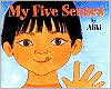 My Five Senses