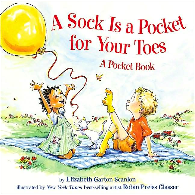 Sock Is a Pocket for Your Toes: A Pocket Book