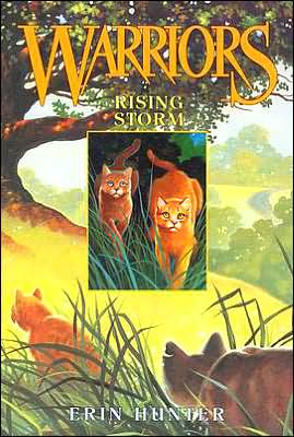 Rising Storm (Warriors Series #4)