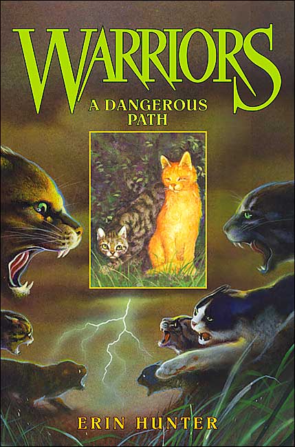 A Dangerous Path (Warriors Series #5)