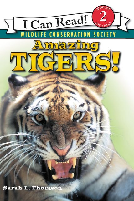 Amazing Tigers!