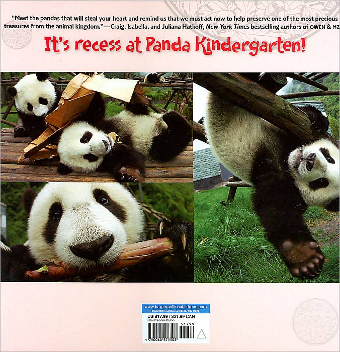 Panda Kindergarten