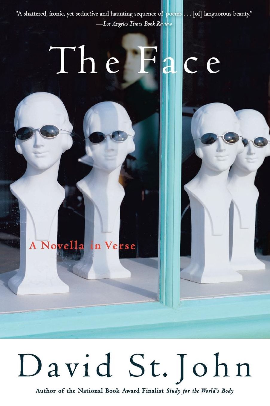 Face: A Novella in Verse