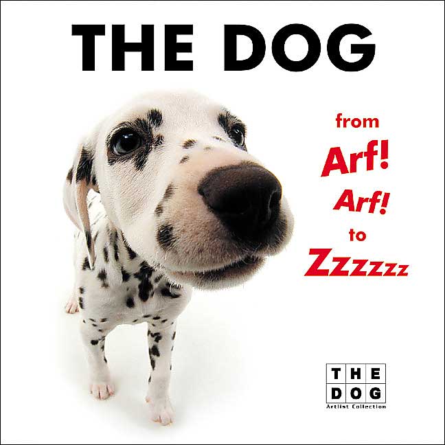 Dog from Arf! Arf! to Zzzzzz