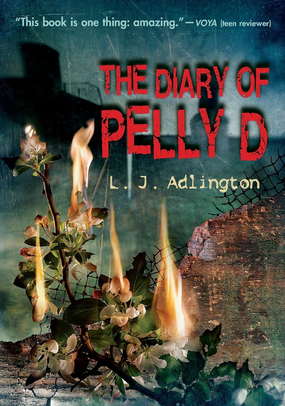 Diary of Pelly D