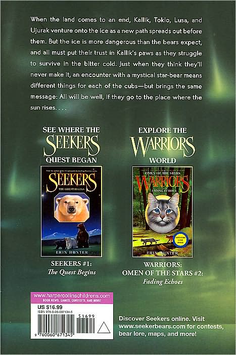 Fire in the Sky (Seekers Series #5)