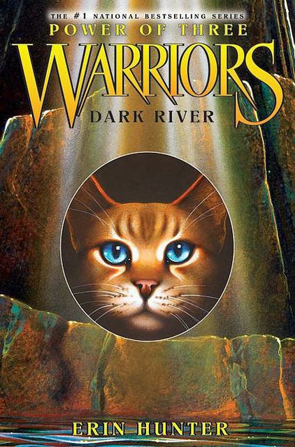 Dark River (Warriors: Power of Three Series #2)