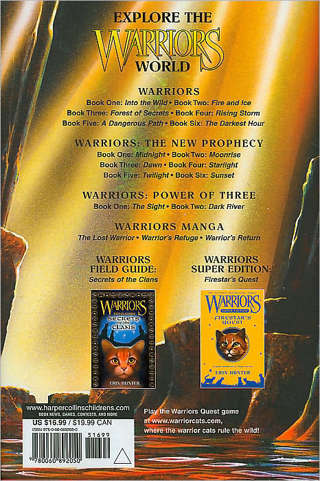 Dark River (Warriors: Power of Three Series #2)