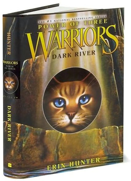 Dark River (Warriors: Power of Three Series #2)